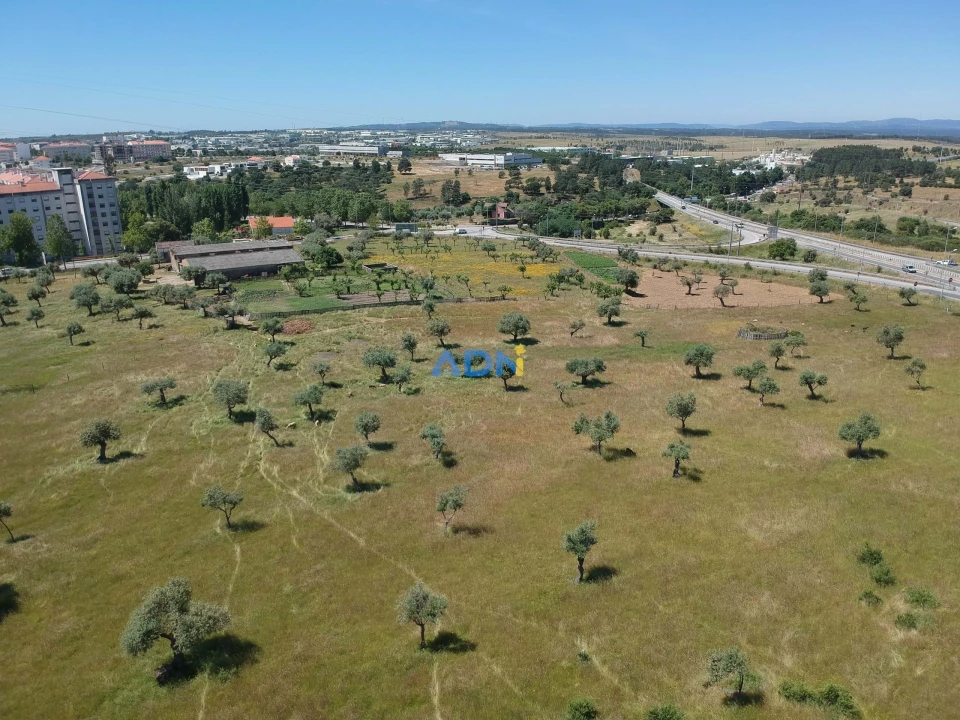 Terreno para Venda em Castelo Branco Foto 1