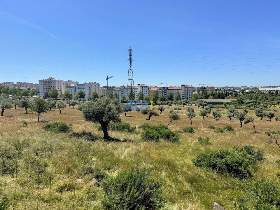 Terreno para Venda em Castelo Branco Foto 7