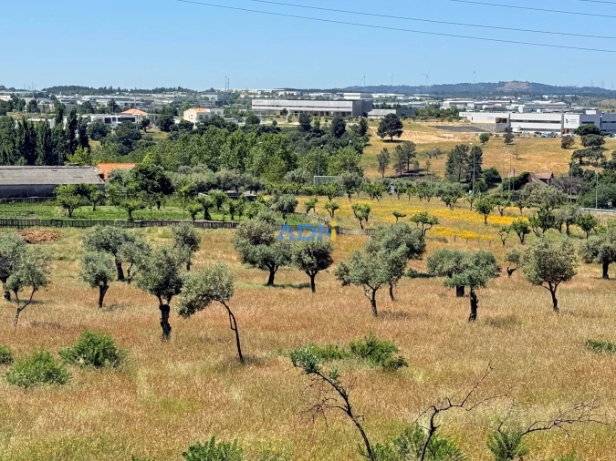 Terreno para Venda em Castelo Branco Foto 5