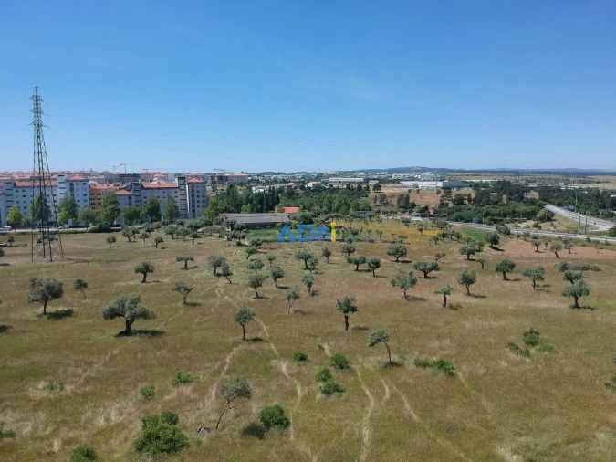 Terreno para Venda em Castelo Branco Foto 2