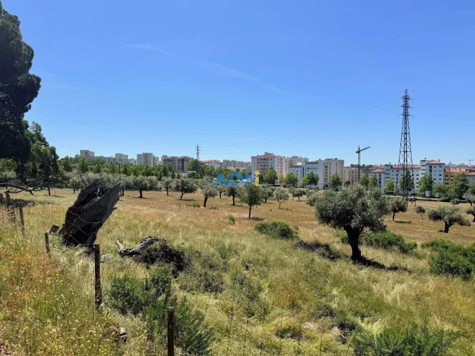 Terreno para Venda em Castelo Branco Foto 8