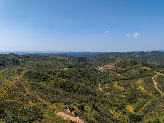 Terreno para Venda em Tavira (Santa Maria e Santiago) Foto 17