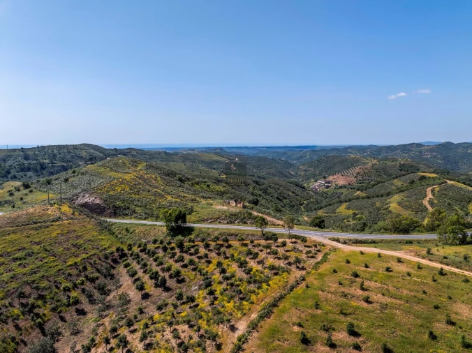 Terreno para Venda em Tavira (Santa Maria e Santiago) Foto 22
