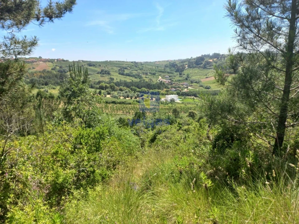 Terreno para Venda em Salir de Matos Foto 6