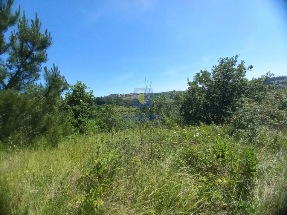 Terreno para Venda em Salir de Matos Foto 18