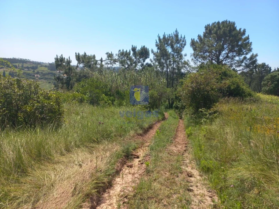 Terreno para Venda em Salir de Matos Foto 9