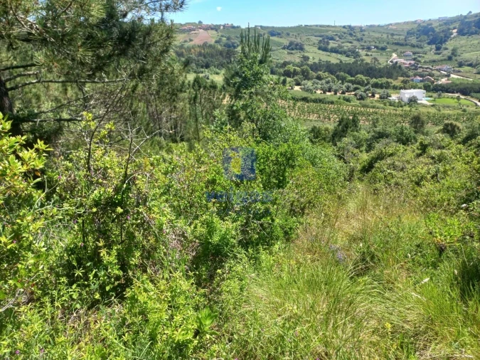 Terreno para Venda em Salir de Matos Foto 5