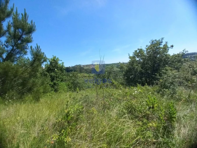 Terreno para Venda em Salir de Matos Foto 18