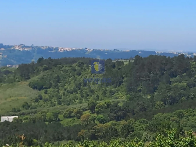 Terreno para Venda em Salir de Matos Foto 23