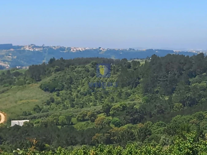 Terreno para Venda em Salir de Matos Foto 22