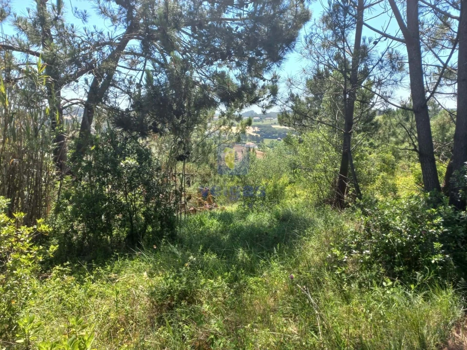 Terreno para Venda em Salir de Matos Foto 4