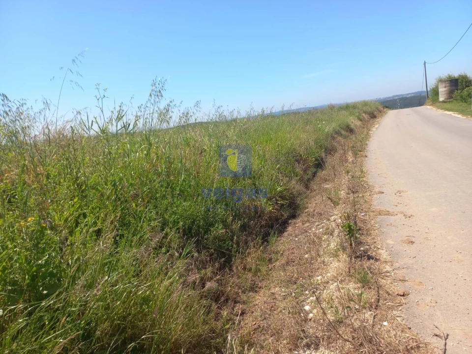 Terreno para Venda em Salir de Matos Foto 3