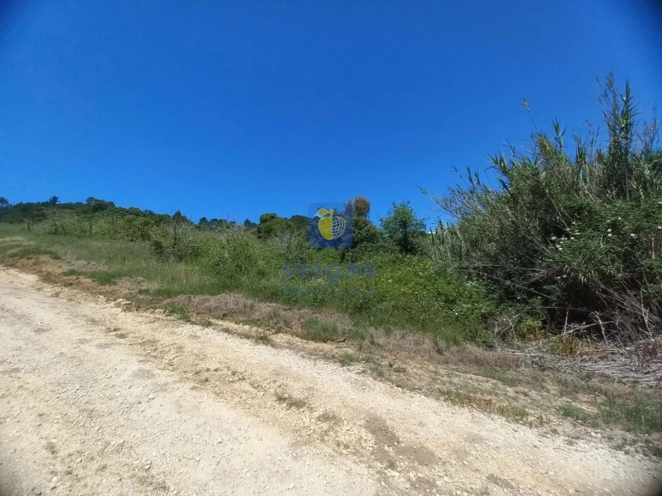 Terreno para Venda em Salir de Matos Foto 25