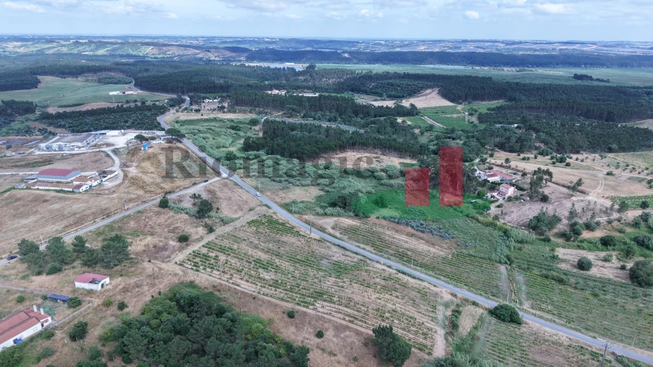 Terreno para Venda em Alcoentre Foto 17