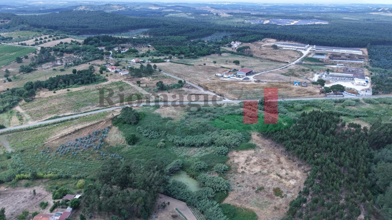 Terreno para Venda em Alcoentre Foto 21