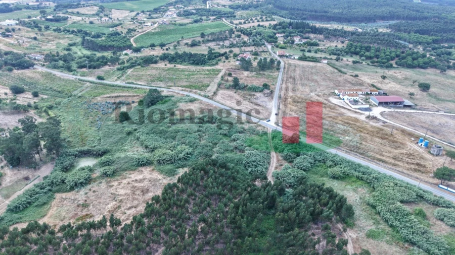 Terreno para Venda em Alcoentre Foto 23