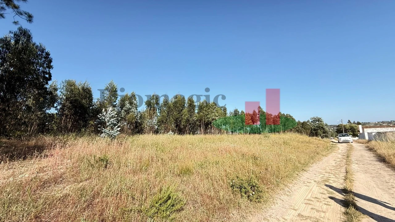 Terreno para Venda em Asseiceira Foto 5