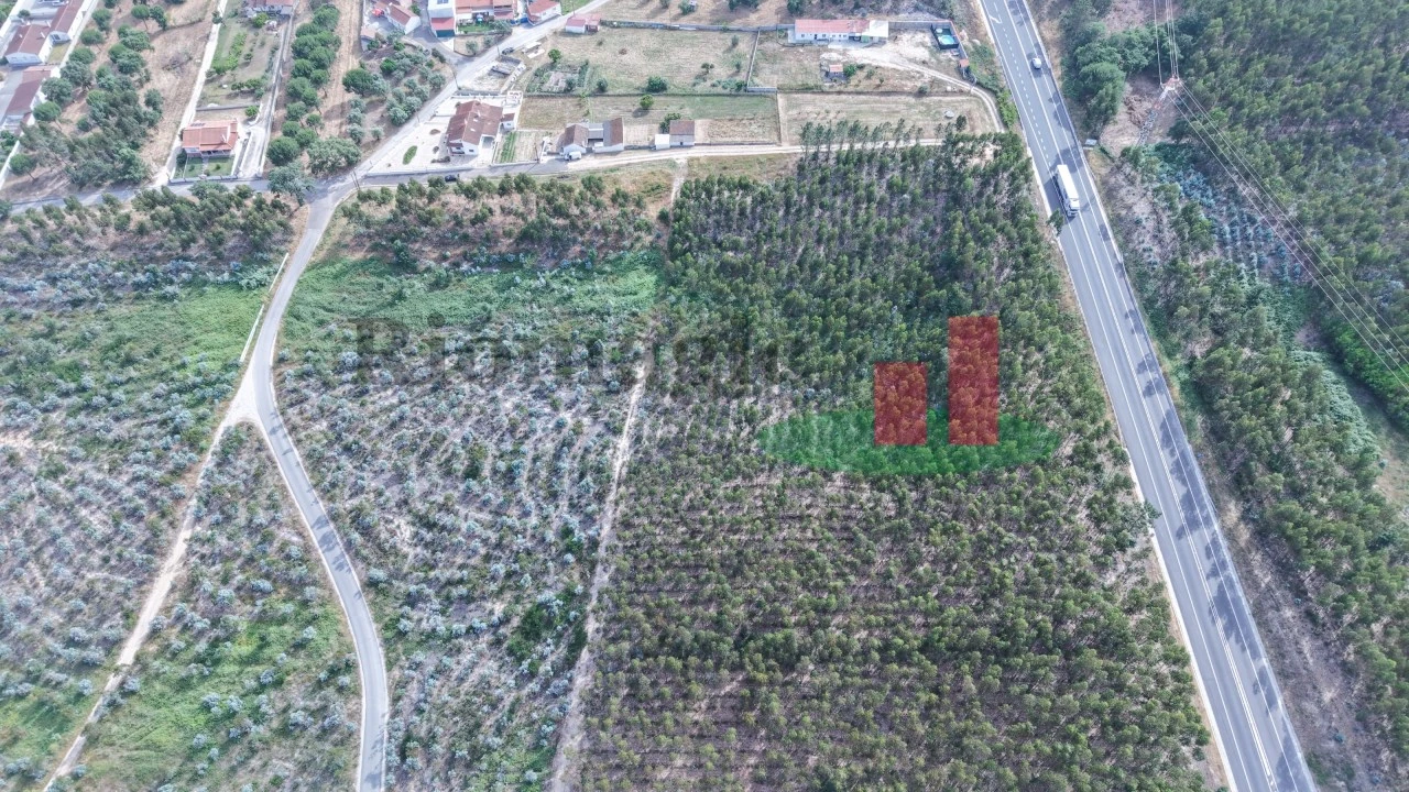 Terreno para Venda em Asseiceira Foto 3