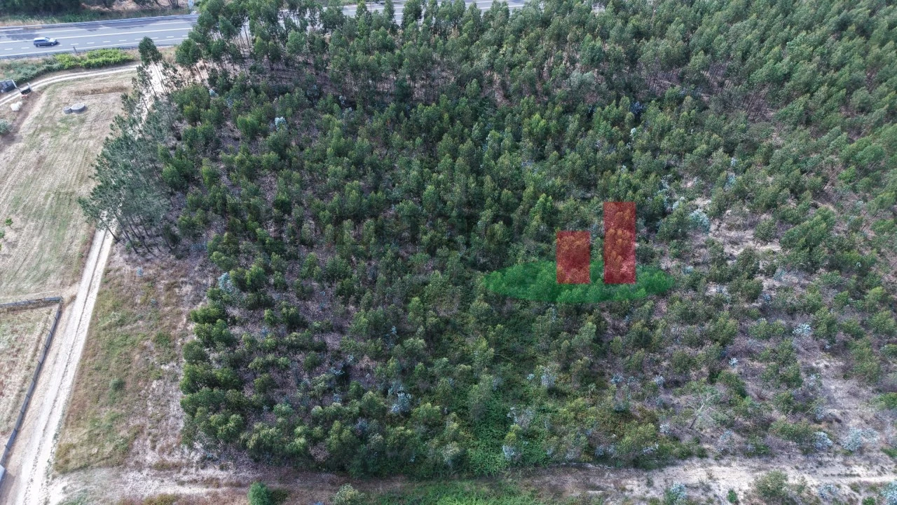 Terreno para Venda em Asseiceira Foto 13