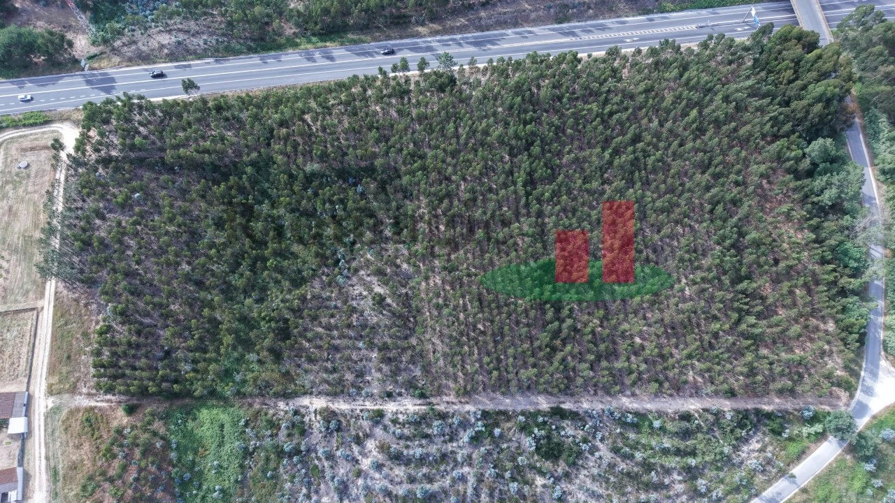 Terreno para Venda em Asseiceira Foto 14