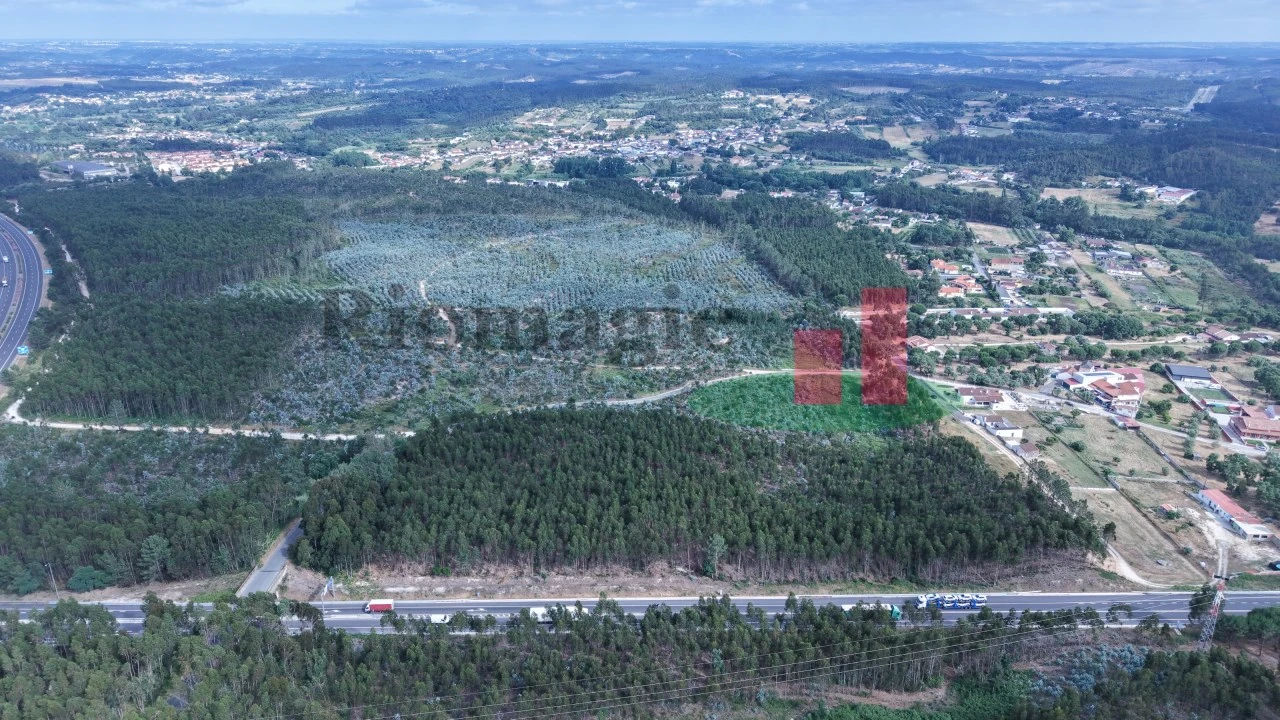 Terreno para Venda em Asseiceira Foto 2