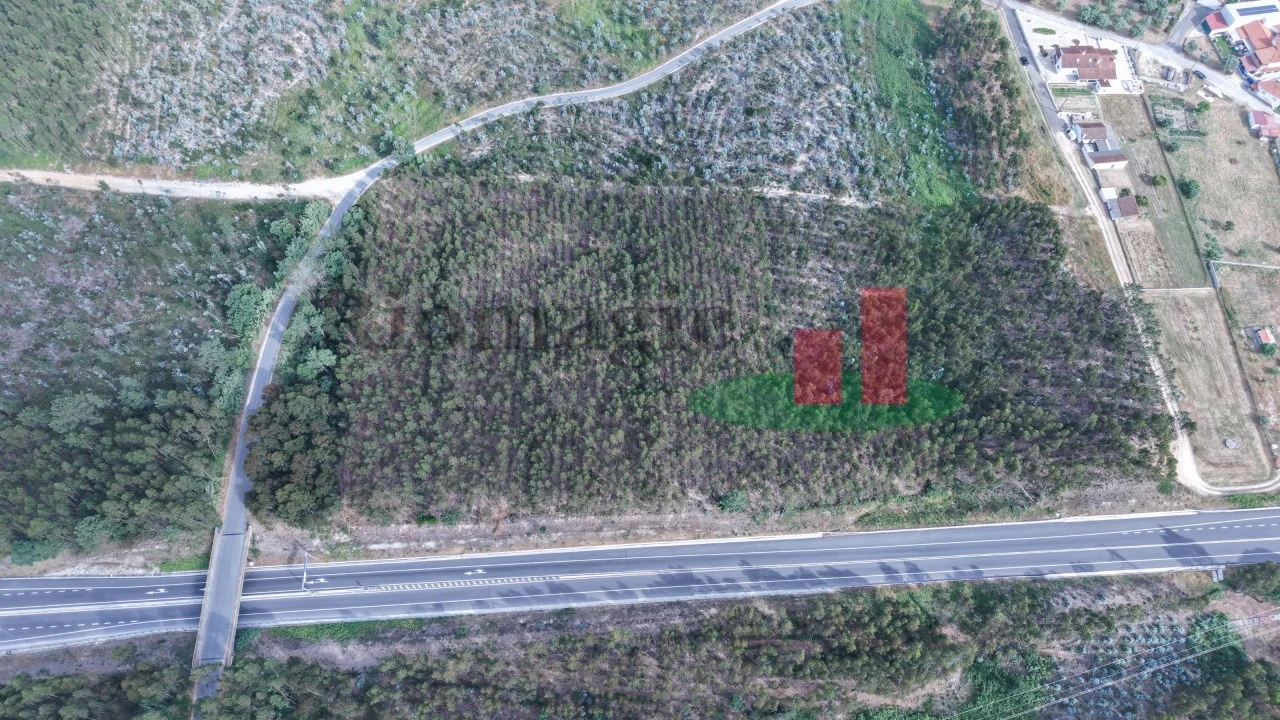 Terreno para Venda em Asseiceira Foto 16