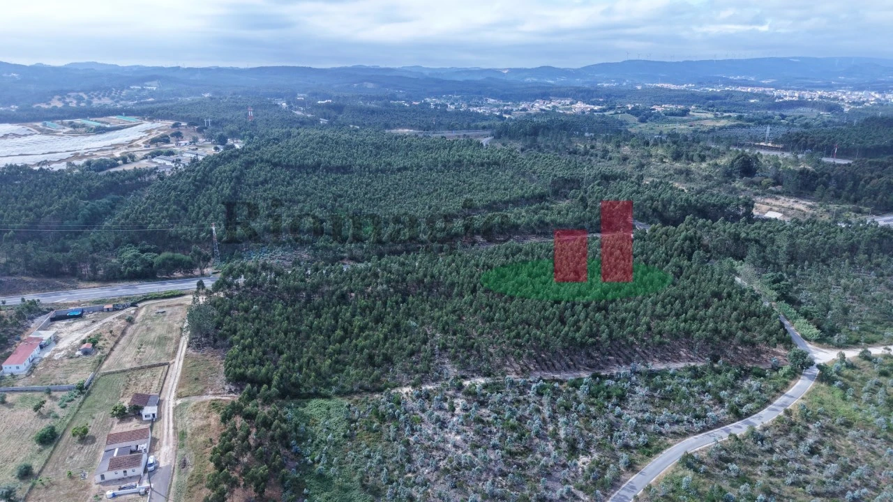 Terreno para Venda em Asseiceira Foto 21