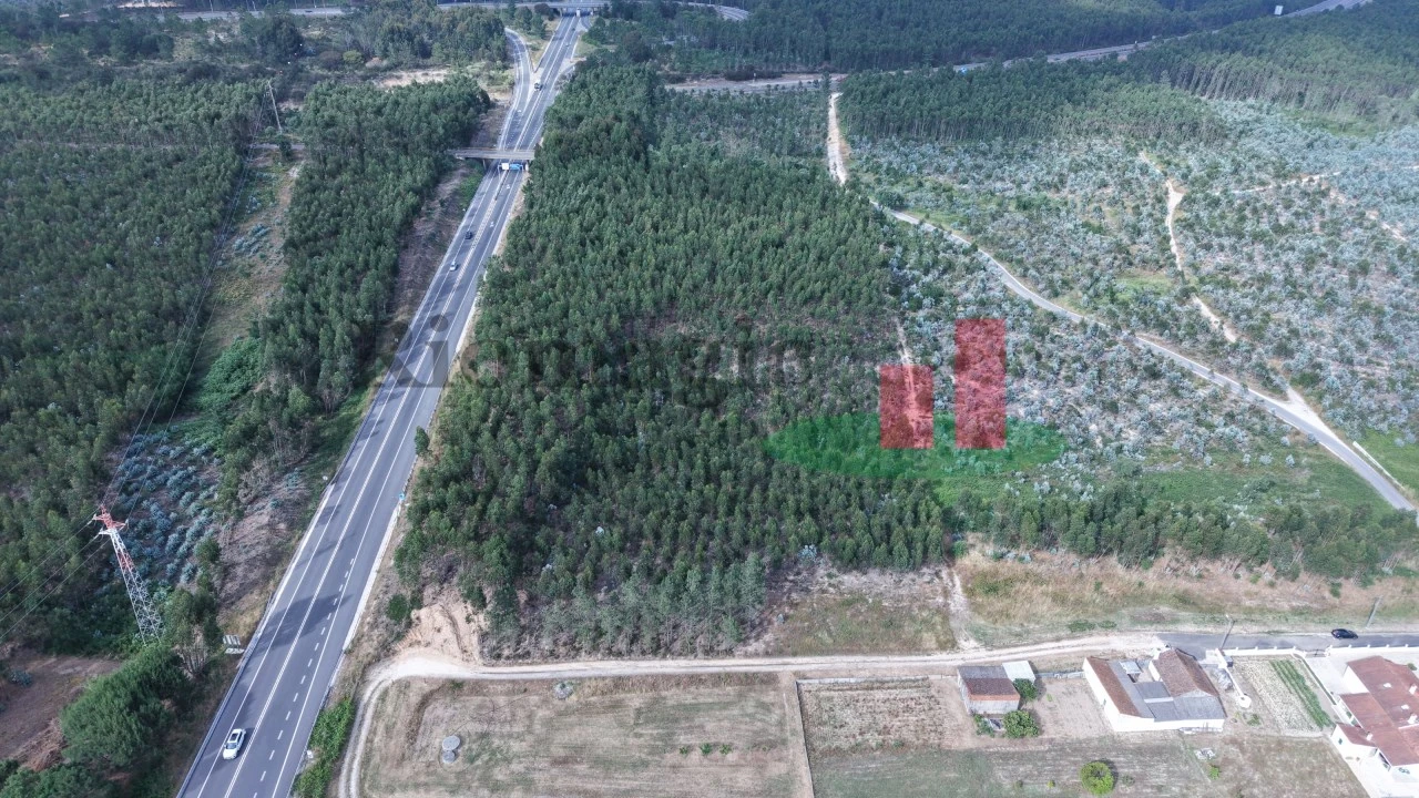 Terreno para Venda em Asseiceira Foto 27