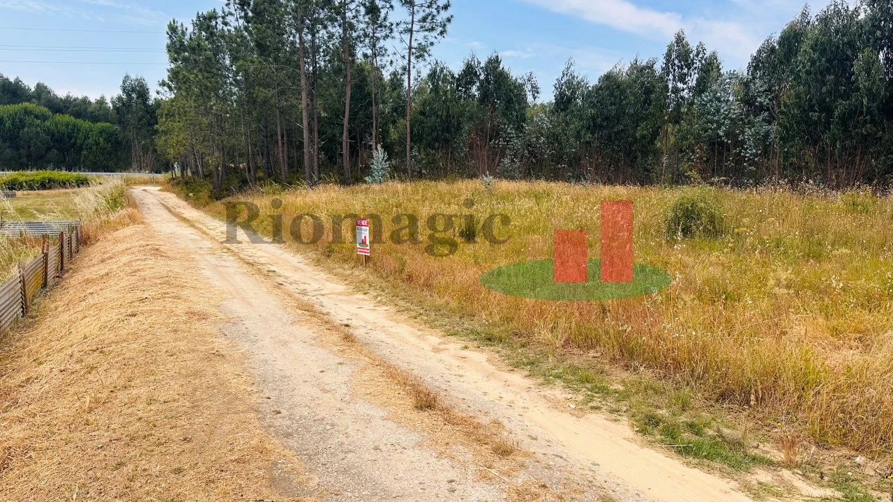 Terreno para Venda em Asseiceira Foto 29