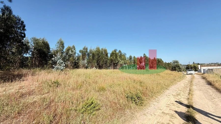 Terreno para Venda em Asseiceira Foto 6