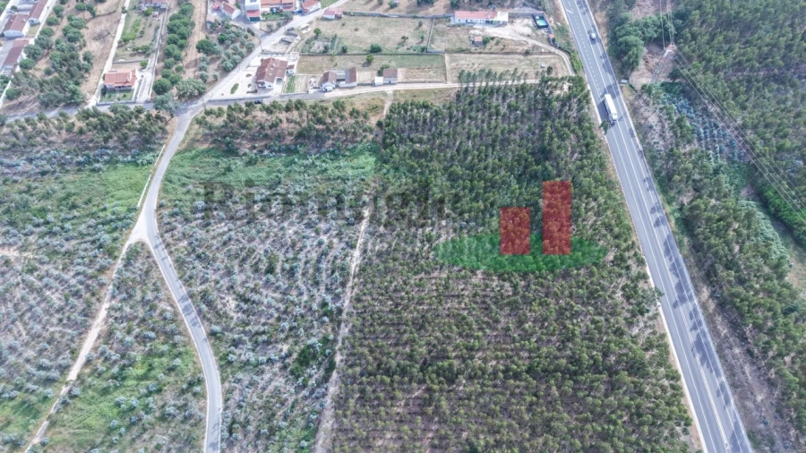 Terreno para Venda em Asseiceira Foto 3