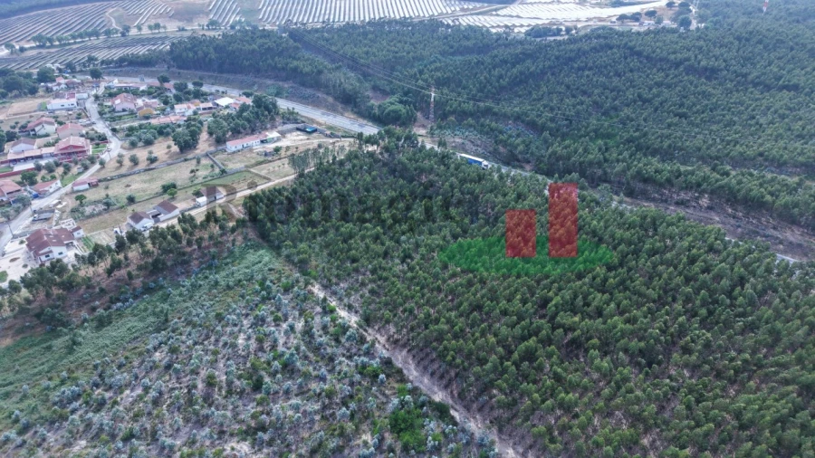 Terreno para Venda em Asseiceira Foto 24