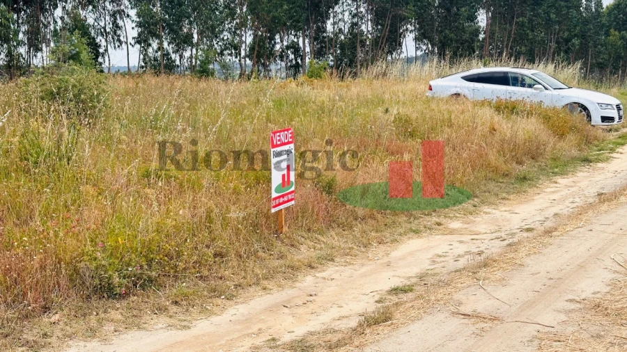 Terreno para Venda em Asseiceira Foto 30