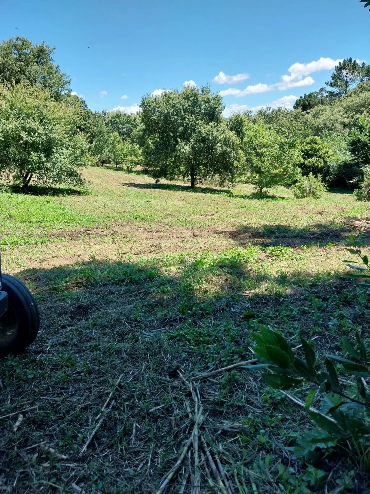 Terreno para Venda em Barrio Foto 3