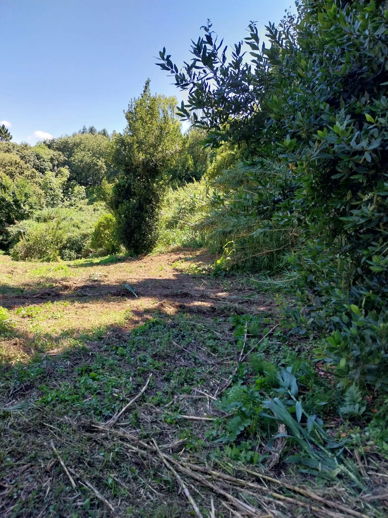 Terreno para Venda em Barrio Foto 7