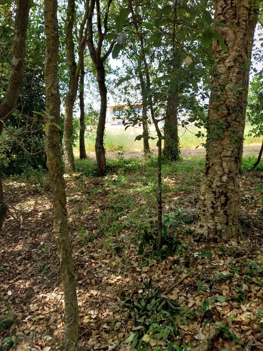 Terreno para Venda em Barrio Foto 5