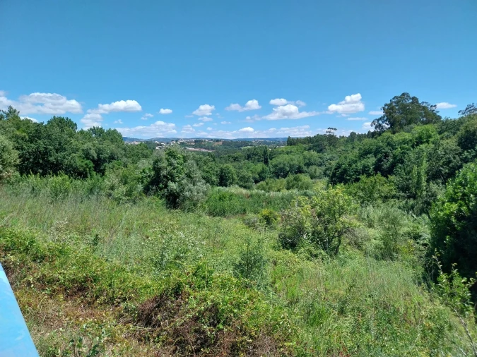 Terreno para Venda em Barrio Foto 2