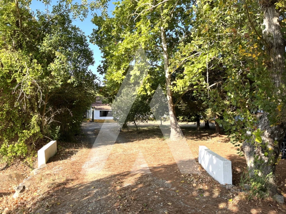 Quinta T3 para Venda em Bacelo e Senhora da Saúde Foto 6