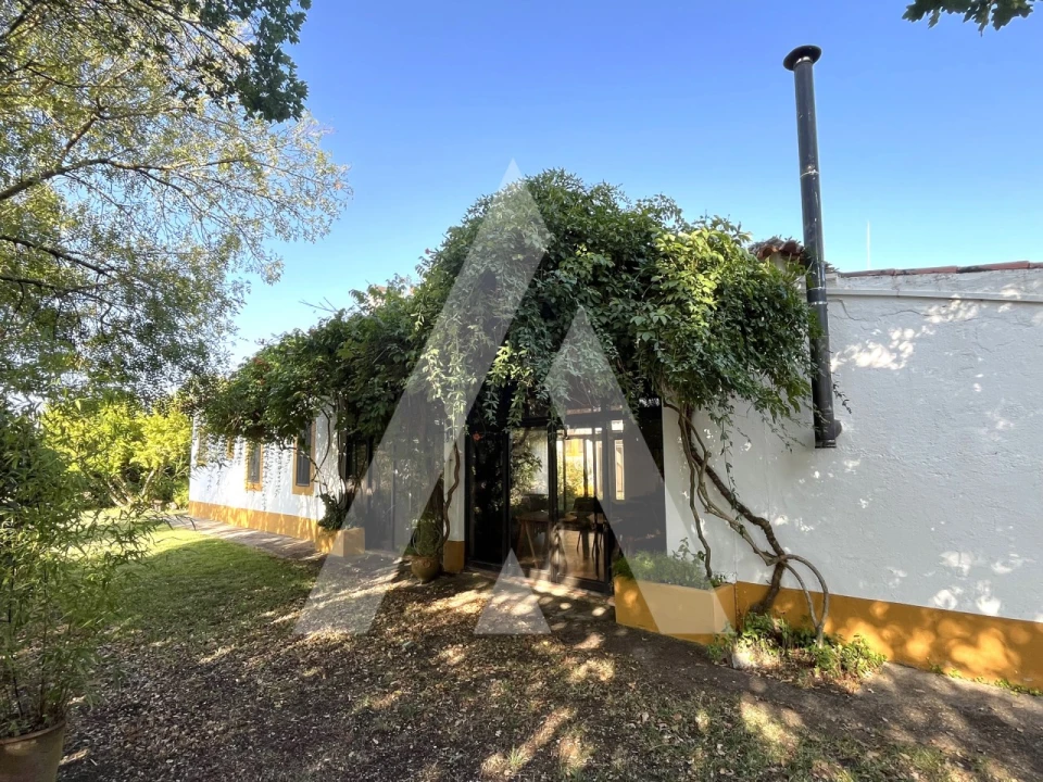 Quinta T3 para Venda em Bacelo e Senhora da Saúde Foto 11