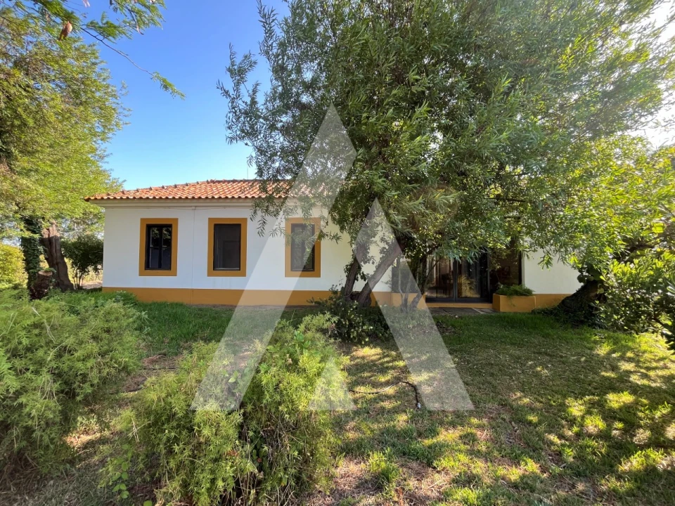 Quinta T3 para Venda em Bacelo e Senhora da Saúde Foto 15