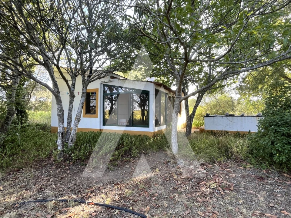 Quinta T3 para Venda em Bacelo e Senhora da Saúde Foto 17