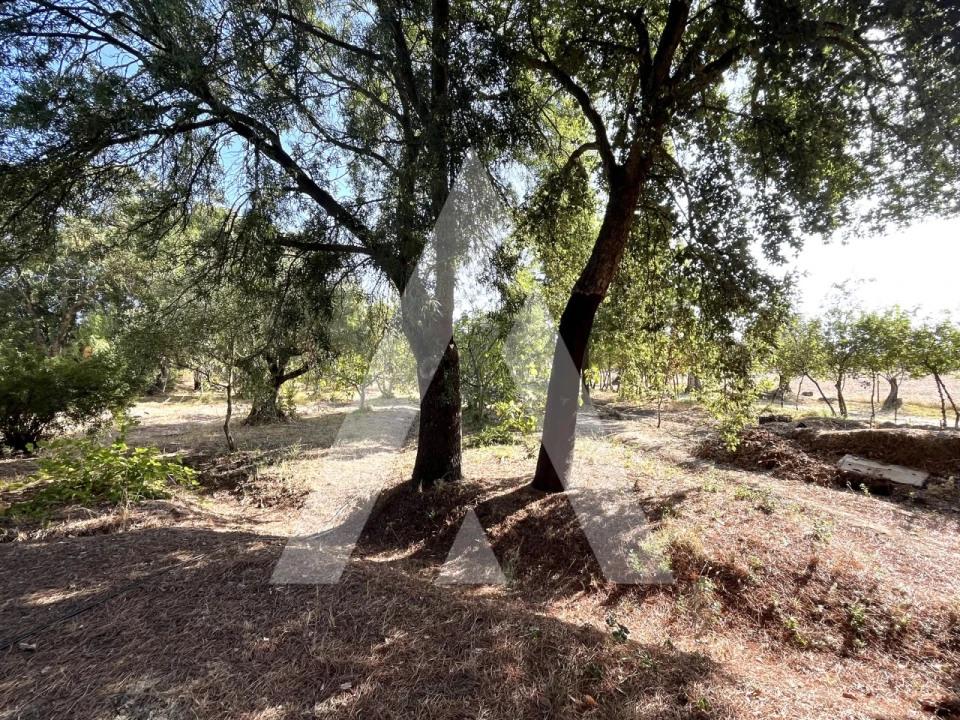 Quinta T3 para Venda em Bacelo e Senhora da Saúde Foto 20