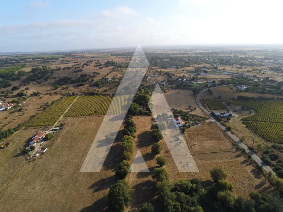 Quinta T3 para Venda em Bacelo e Senhora da Saúde Foto 72