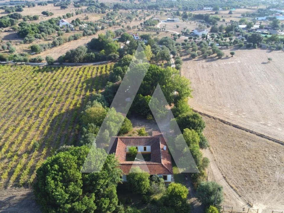 Quinta T3 para Venda em Bacelo e Senhora da Saúde Foto 3