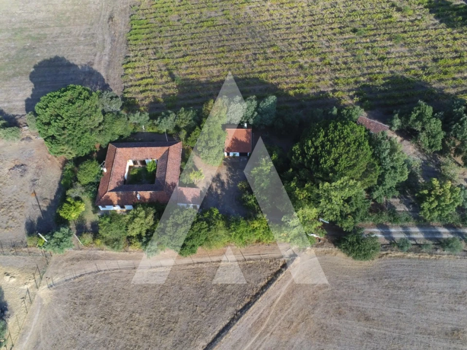 Quinta T3 para Venda em Bacelo e Senhora da Saúde Foto 2