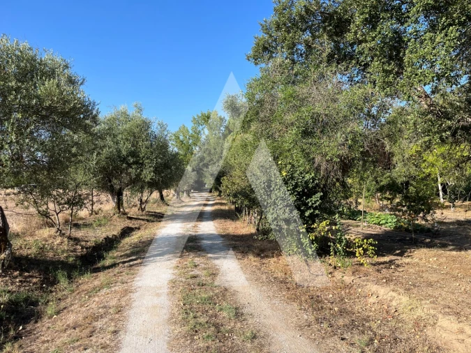 Quinta T3 para Venda em Bacelo e Senhora da Saúde Foto 5