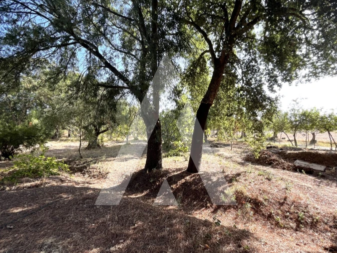 Quinta T3 para Venda em Bacelo e Senhora da Saúde Foto 20