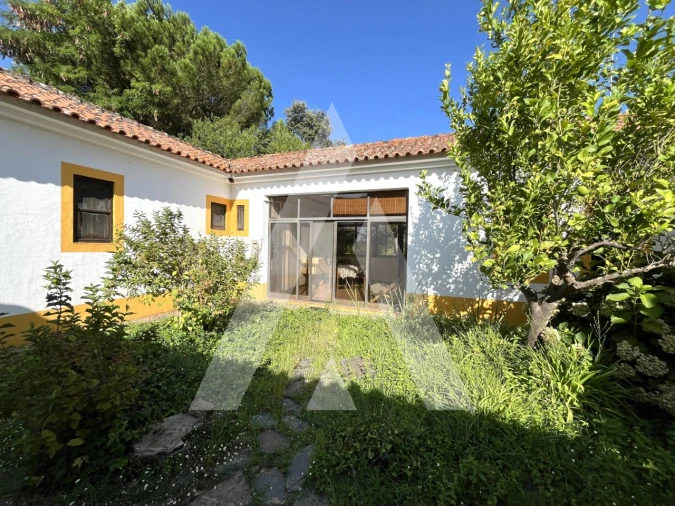 Quinta T3 para Venda em Bacelo e Senhora da Saúde Foto 35