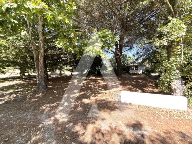 Quinta T3 para Venda em Bacelo e Senhora da Saúde Foto 22