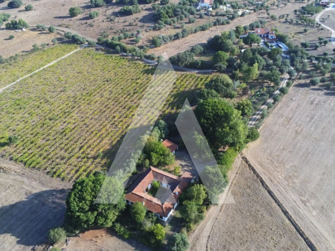 Quinta T3 para Venda em Bacelo e Senhora da Saúde Foto 73